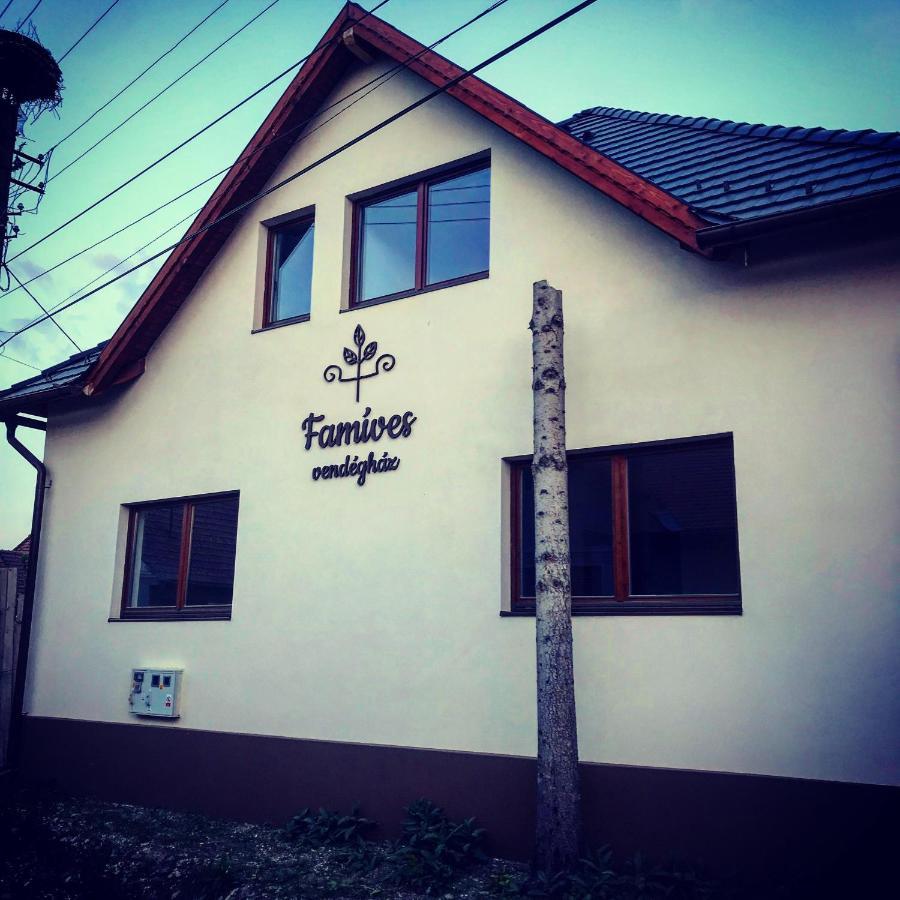 Famíves vendégház Racul Esterno foto